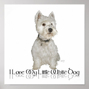 Affiche J'adore mon petit chien blanc - Westie
