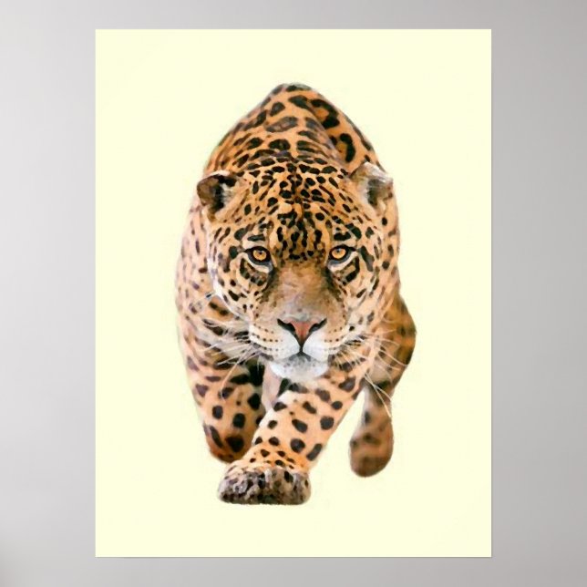 Affiche Jaguar Eyes (Devant)