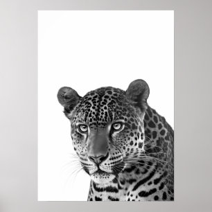 Affiche Jaguar Jungle Moderne Portrait noir blanc