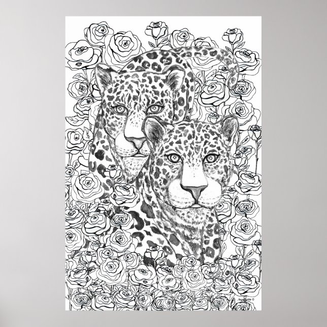 Affiche Jaguar Magi (Devant)