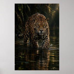 Affiche Jaguar marchant à travers l'eau sombre de la jungl