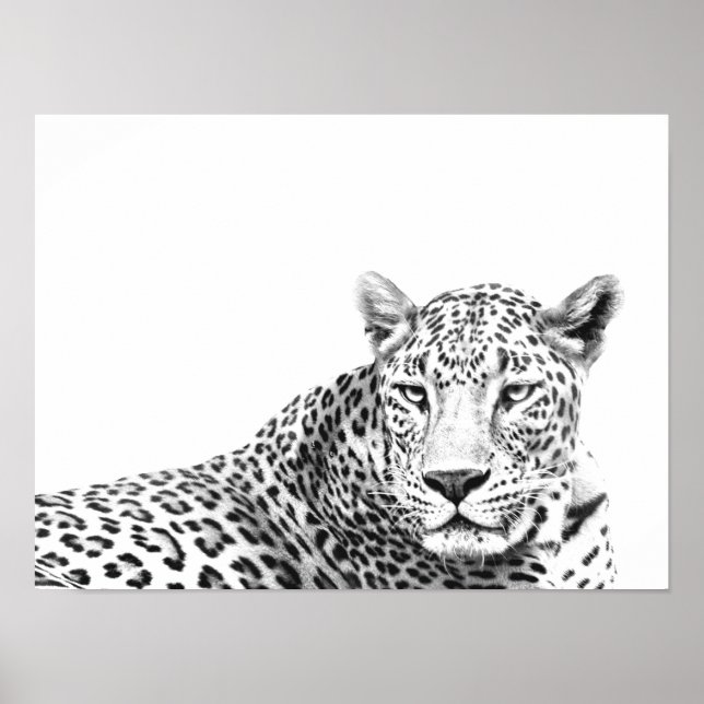 Affiche Jaguar noir et blanc moderne 16x12 pouces (Devant)