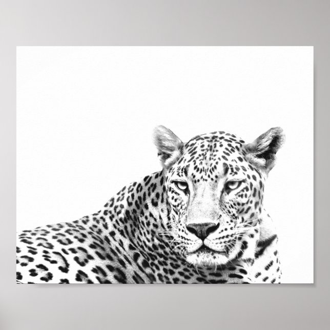 Affiche Jaguar noir et blanc moderne de 10 x 8 pouces (Devant)
