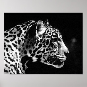 Affiche Jaguar Pop Art