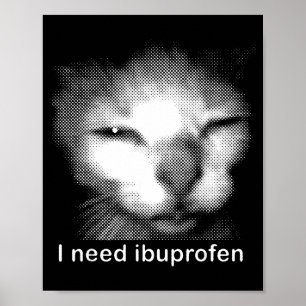 Affiche J'ai besoin de l'Ibuprofène Chat Mème Drôle Silly