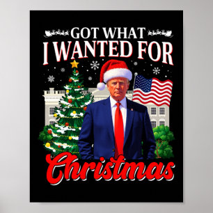Affiche J'ai ce que je Recherché pour Noël Donald Trump 47