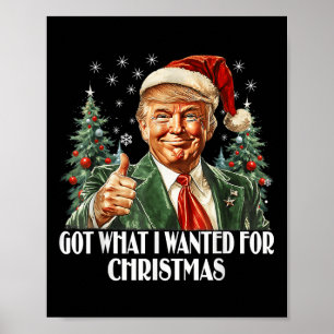 Affiche J'Ai Ce Que Je Recherché Pour Noël - Trump Xmas