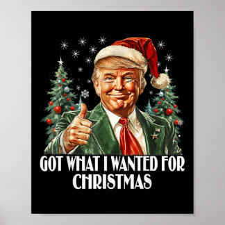 Affiche J'Ai Ce Que Je Recherché Pour Noël - Trump Xmas