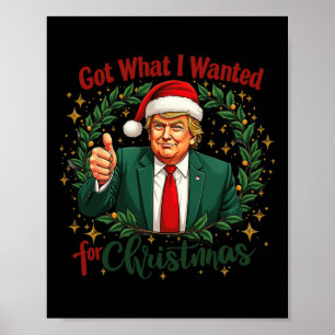 Affiche J'Ai Ce Que Je Suis Recherché Pour Noël Trump 2024
