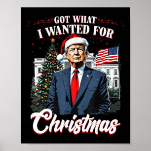 Affiche J'Ai Ce Que Je Suis Recherché Pour Noël Trump 2024