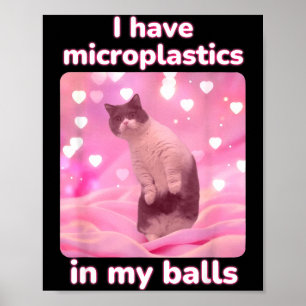 Affiche J'ai des microplastiques dans mon chat rose Mème d