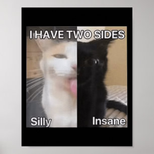 Affiche J'Ai Deux Côtés Silly Drôle Chat Drôle Pour Les Ho