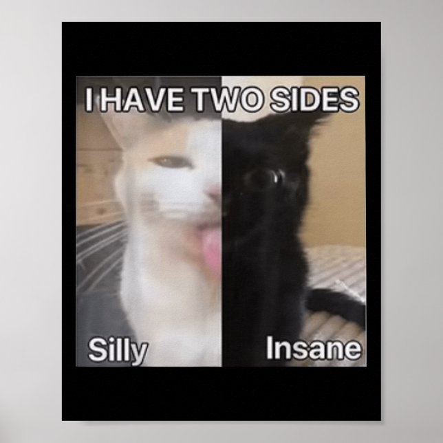 Affiche J'Ai Deux Côtés Silly Drôle Chat Drôle Pour Les Ho (Devant)