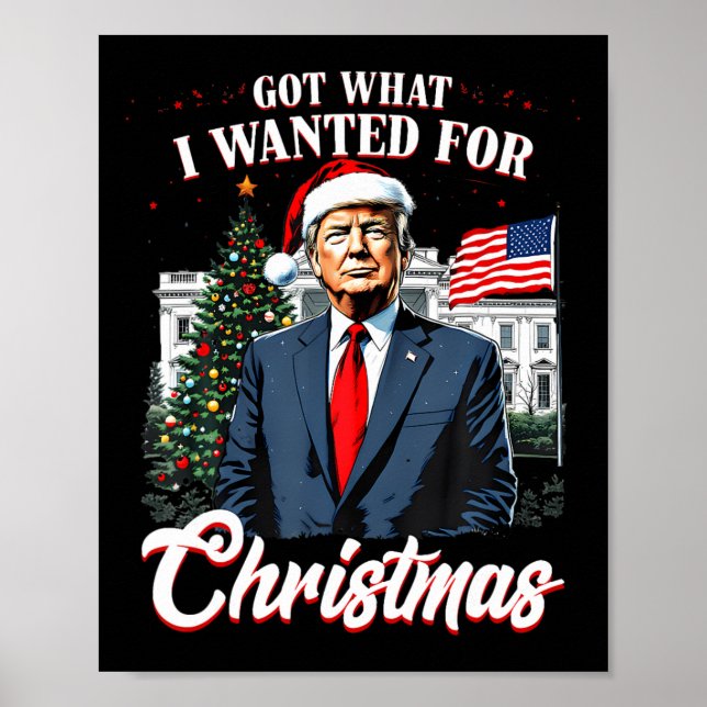 Affiche J'ai eu ce que je voulais pour Noël Trump 2024 (Devant)