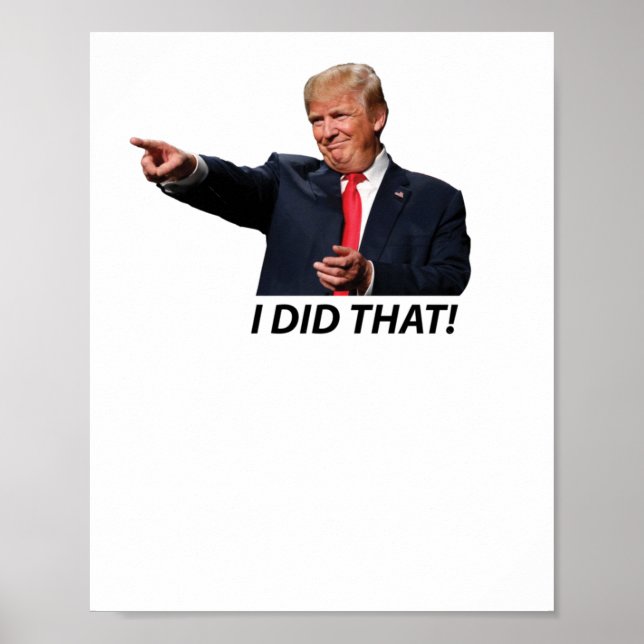 Affiche J'Ai Fait Ce Mème Trump (Devant)
