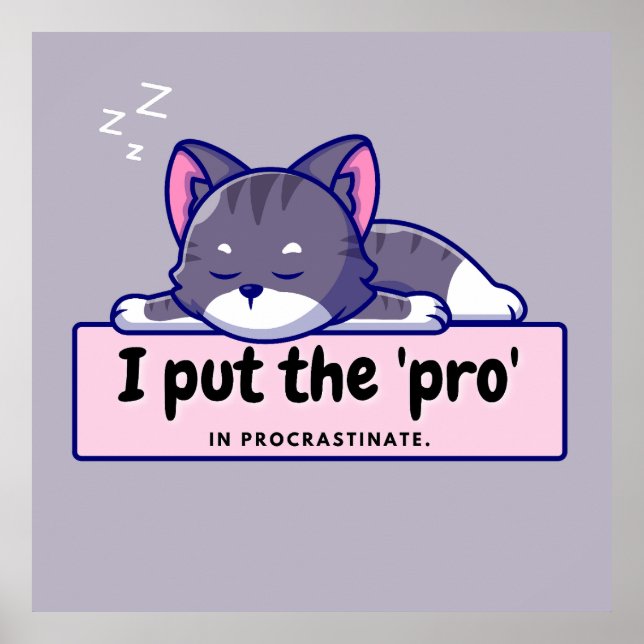 Affiche J'ai mis le 'pro' dans : Hilarious Writer's Comic  (Devant)