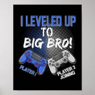 Affiche J'ai nivelé jusqu'à Big Bro promu à Big Brother