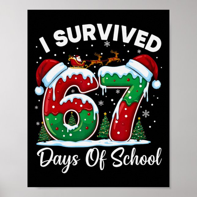 Affiche J'ai survécu 67 jours de compte à rebours de Noël  (Devant)