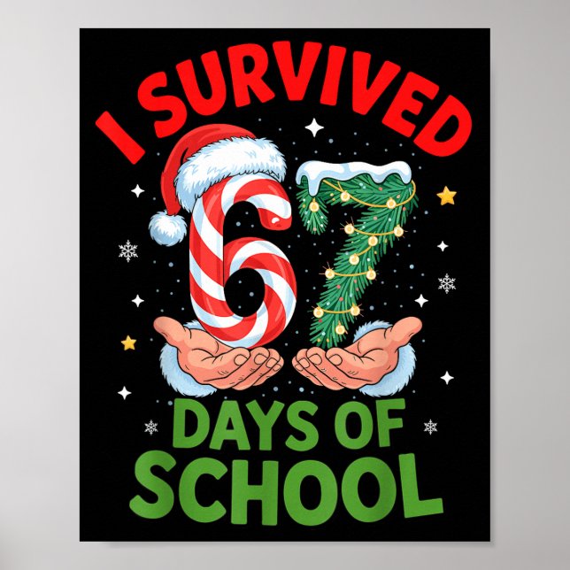 Affiche J'ai survécu 67 jours de l'école de Noël Canne en  (Devant)