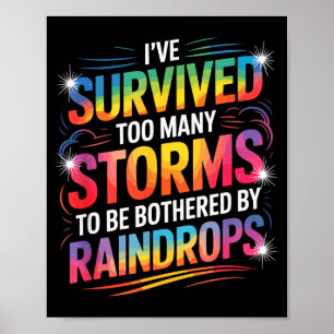 Affiche J'ai survécu à de nombreuses tempêtes, motivation 