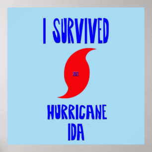 Affiche J'Ai Survécu À L'Ouragan Ida