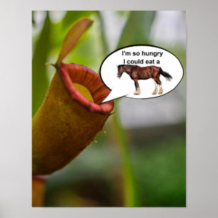 Affiche J'ai tellement faim que je pourrais manger un chev