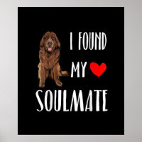 J'Ai Trouvé Mon Âne Amoureux des chiens Terre-Neuv