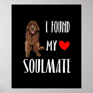 Affiche J'Ai Trouvé Mon Âne Amoureux des chiens Terre-Neuv