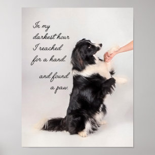 Affiche J'ai trouvé une paw