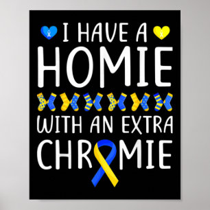 Affiche J'Ai Une Maison Avec Un Syndrome De Chromie Supplé
