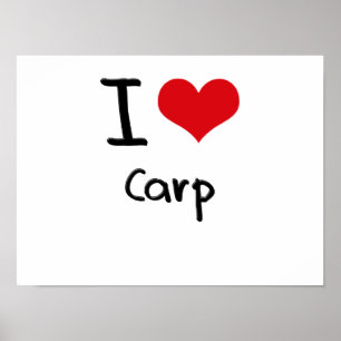 Affiche J'aime Carp