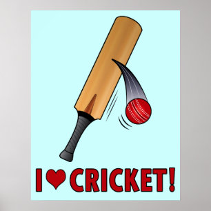 Affiche J'aime chauve-souris et balle de cricket