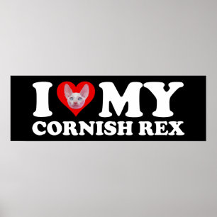 Affiche J'aime (Cœur) Mon Cornish Rex