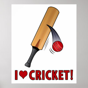 Affiche J'aime la batte et la boule de cricket