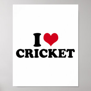 Affiche J'aime le cricket