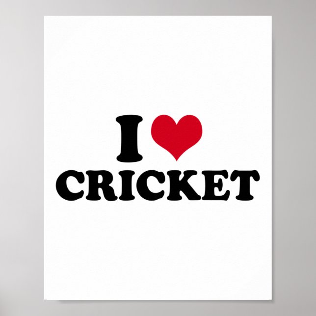 Affiche J'aime le cricket  (Devant)