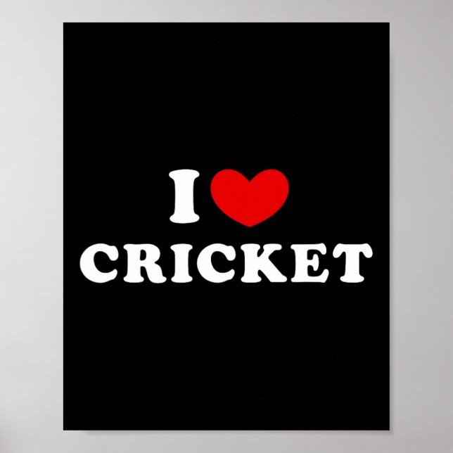 Affiche J'aime le cricket  (Devant)