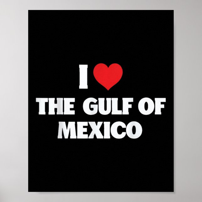 Affiche J'Aime Le Golfe Du Mexique Usa Funny Meme (Devant)