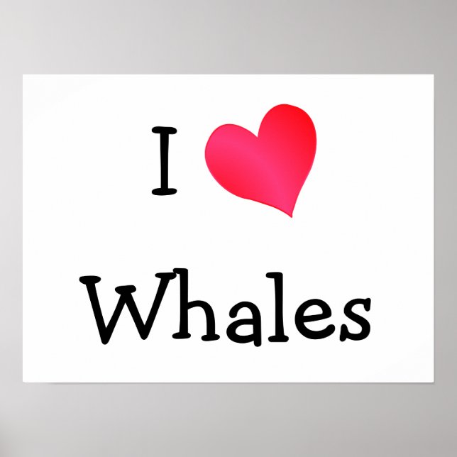 Affiche J'aime les baleines (Devant)