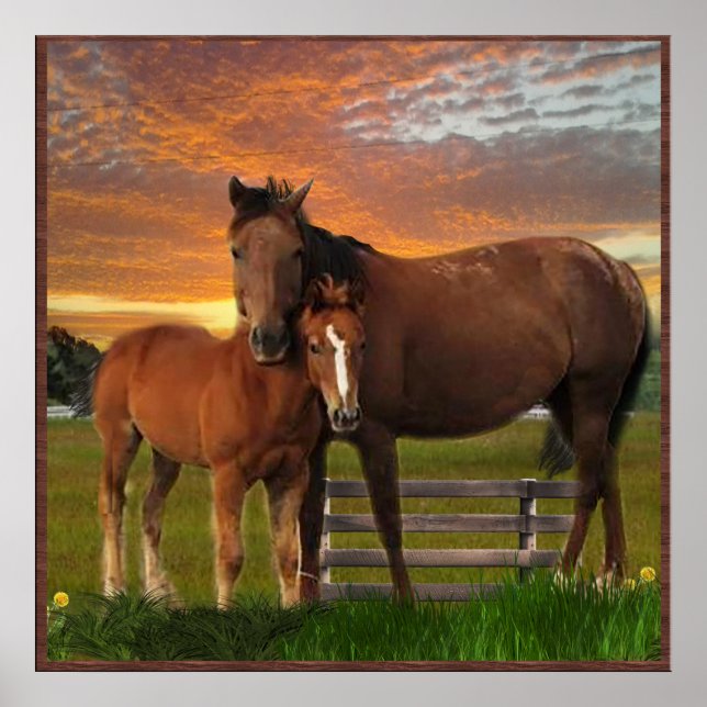 Affiche J'aime les chevaux (Devant)