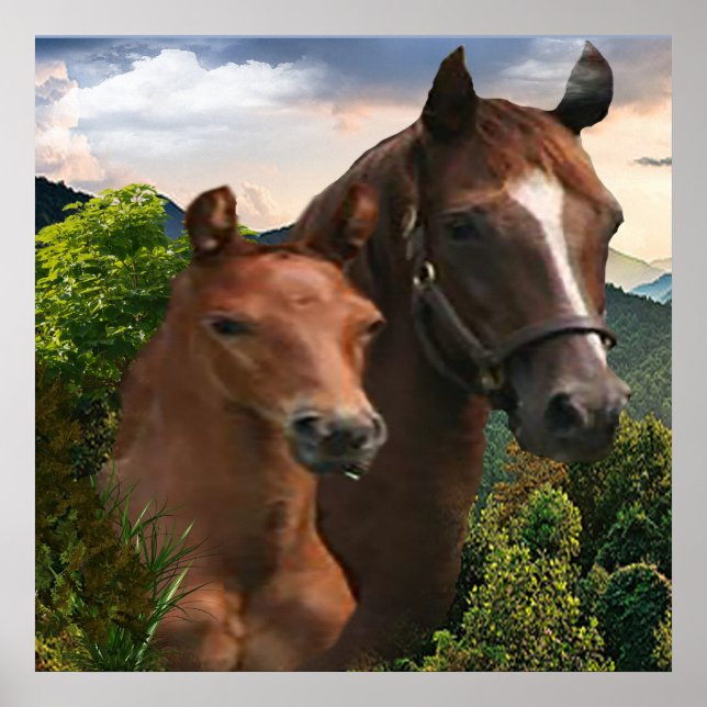 Affiche J'aime les chevaux (Devant)