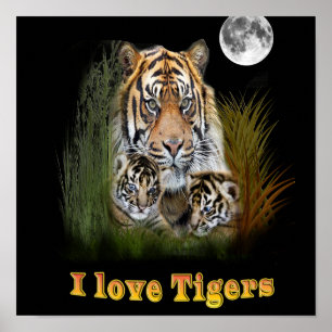 Affiche J'aime les tigres