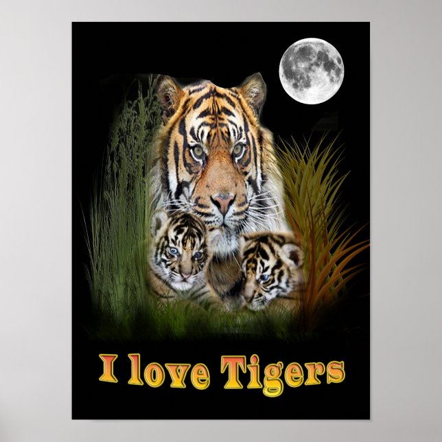 Affiche J'aime les tigres (Devant)