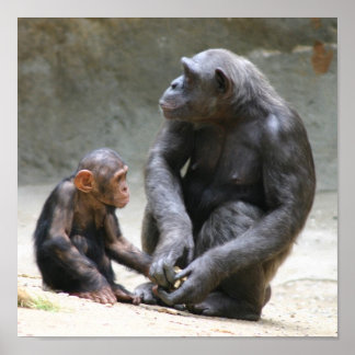 Affiche J'aime ma mère