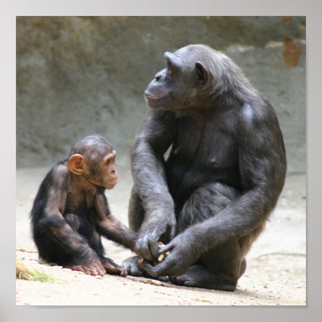 Affiche J'aime ma mère (Devant)