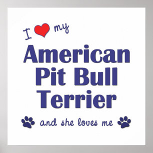 Affiche J'Aime Mon American Pit Bull Terrier (Chien Fémini