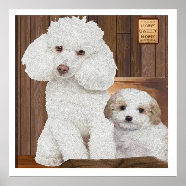 Affiche J'aime mon caniche (Devant)