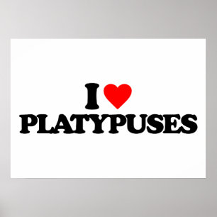AFFICHE J'AIME PLATYPUSES