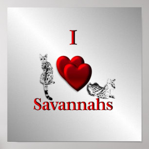 Affiche J'aime Savannah Cat Argent