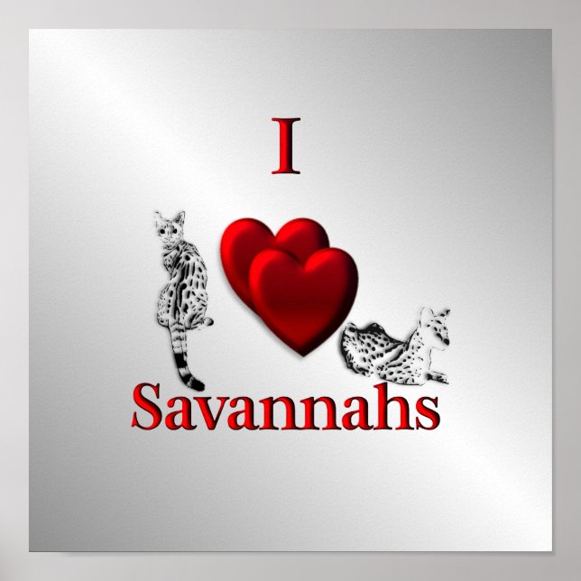 Affiche J'aime Savannah Cat Argent (Devant)